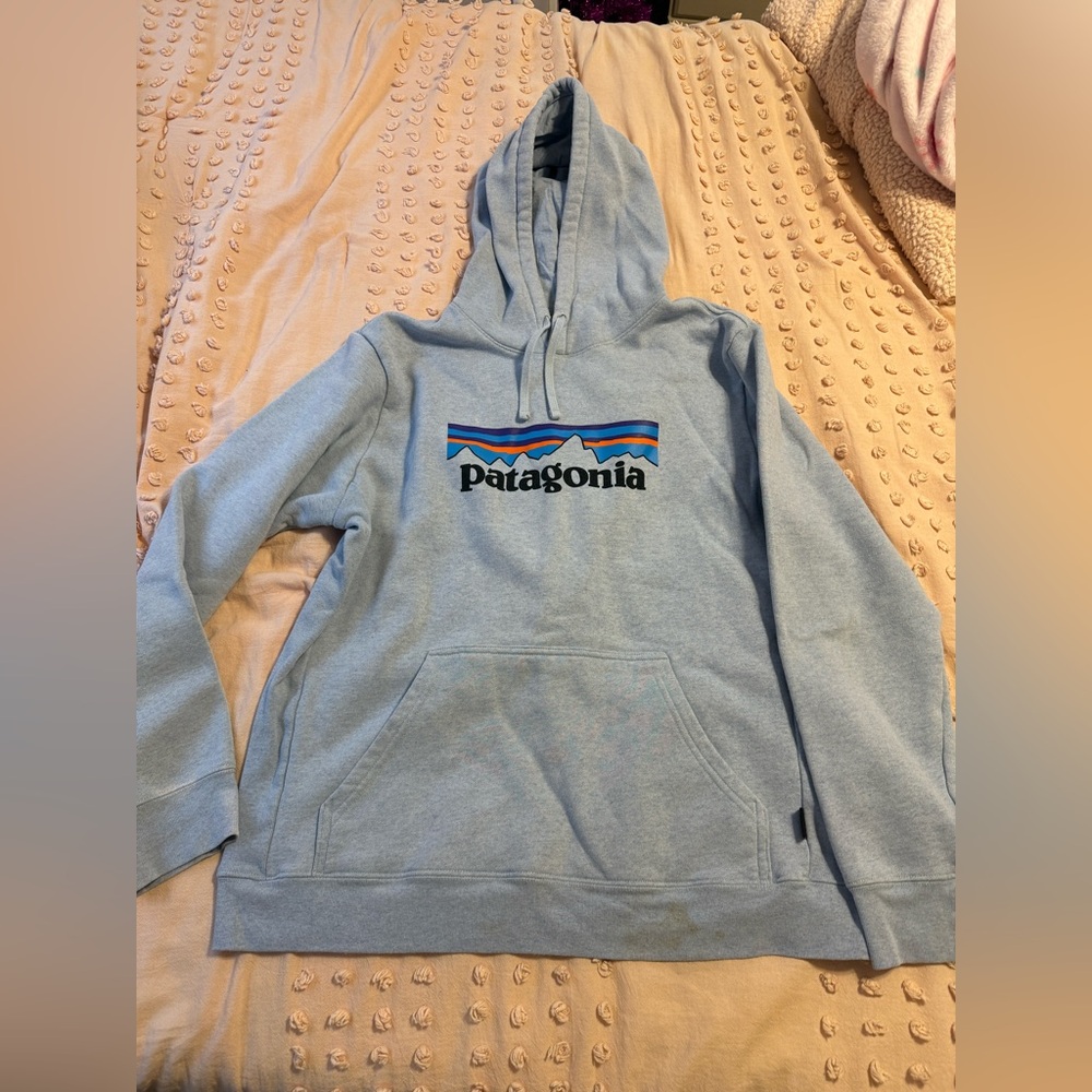 unisex patagonia hoodie